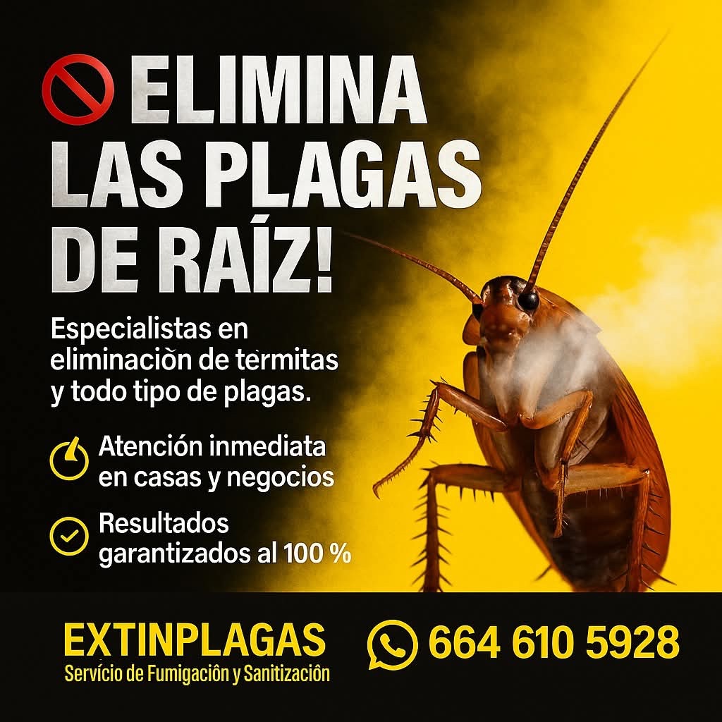 Imagen promocional de eliminación de plagas